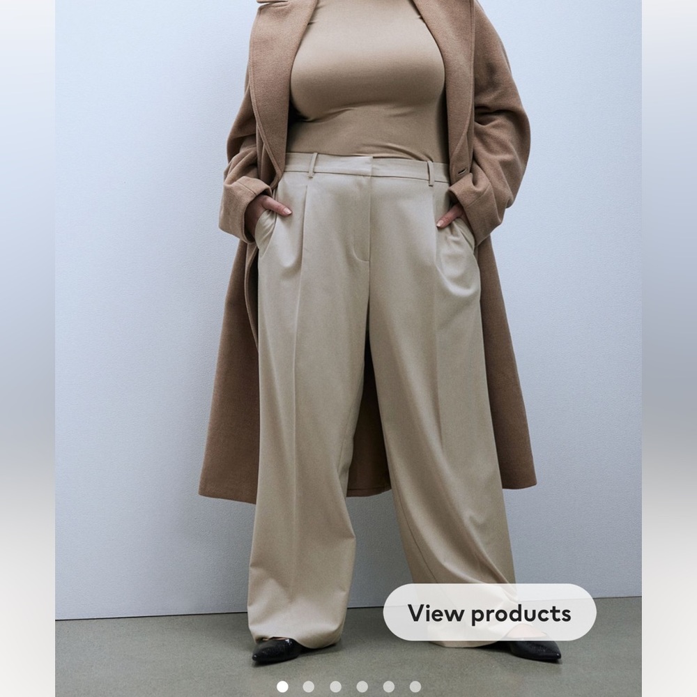 NWT Wide Leg Dress Pants
